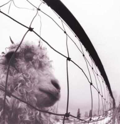 Pearl Jam - Vs. 黑膠1LP Pearl Jam Vs 黑膠, Vs 黑膠, Pearl Jam 黑膠, Daughter 黑膠, Rearviewmirror 黑膠, Pearl Jam LP