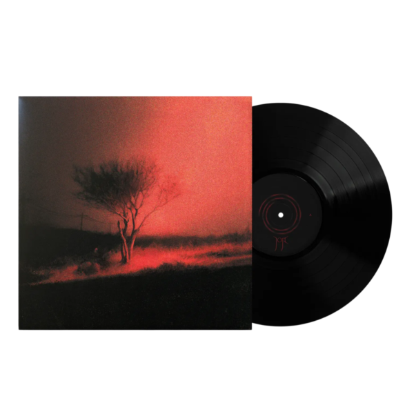 Joji - Piss in the Wind 黑膠1LP 