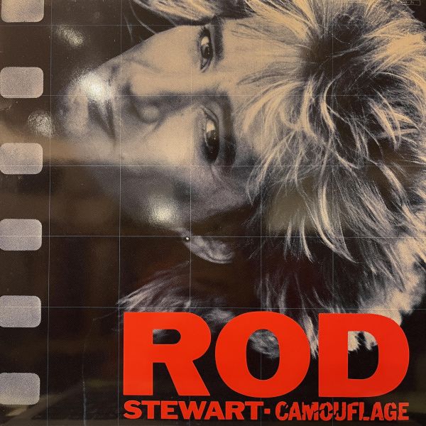 Rod Stewart - Camouflage｜二手老膠1LP 