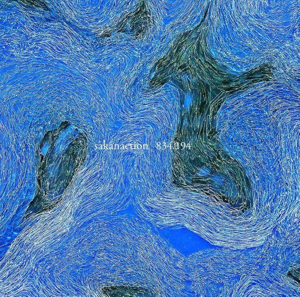 魚韻 sakanaction - 834.194 完全生產限定首版黑膠4LP 