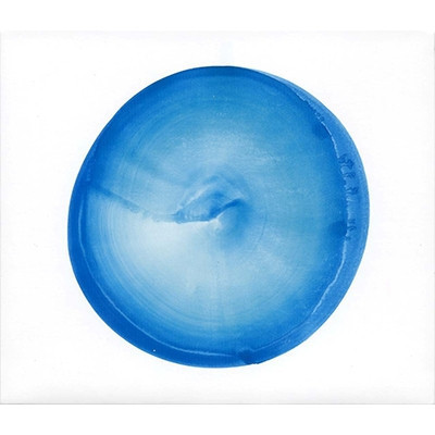 Fishmans - 空中 透明天藍彩膠2LP Fishmans LP, Fishmans album, Fishmans專輯