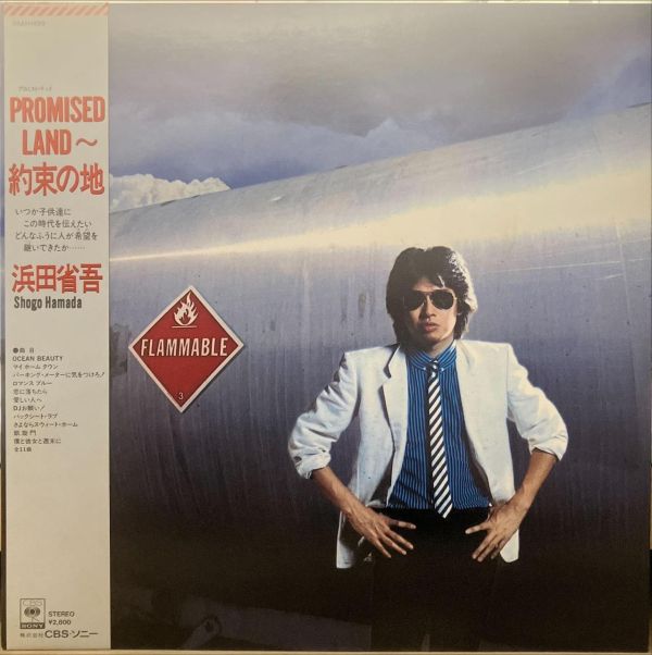 濱田省吾 - Promised Land 二手老膠1LP 