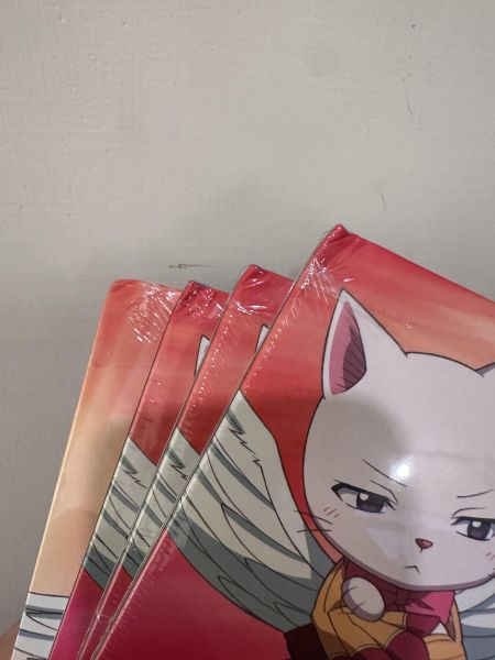 魔導少年FAIRY TAIL - 動畫原聲帶精選  橘色彩膠2LP 