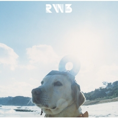 RADWIMPS – Radwimps 3 - 無人島に持っていき忘れた一枚～ 黑膠2LP 