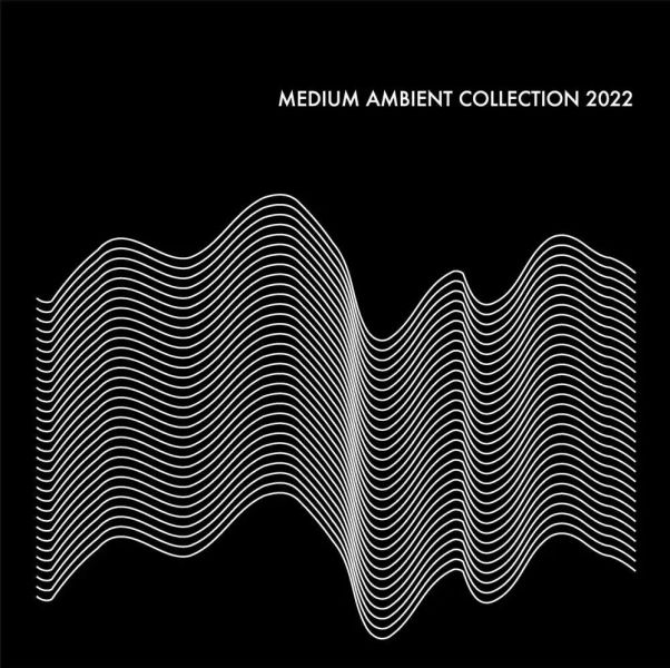 Various - Medium Ambient Collection 2022 Black 黑膠2LP 