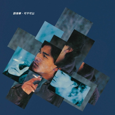 劉德華 - 可不可以 日版黑膠1LP 