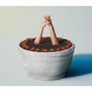 Aimyon -マリーゴールド CD 