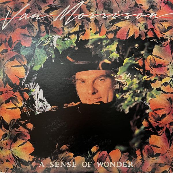 Van Morrison - A Sense Of Wonder｜二手老膠 1LP 