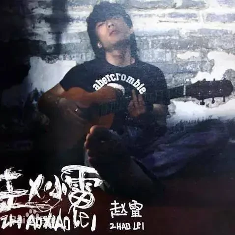 趙雷 - 趙小雷 CD 