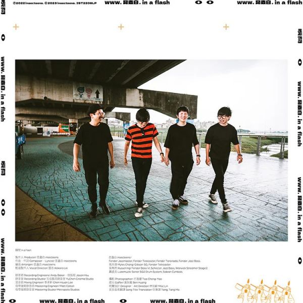 昆蟲白 insecteens - 瞬間 黑膠 1LP 