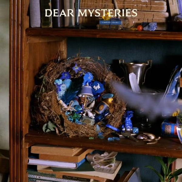 TOMOO - DEAR MYSTERIES 黑膠(2LP重量盤) 