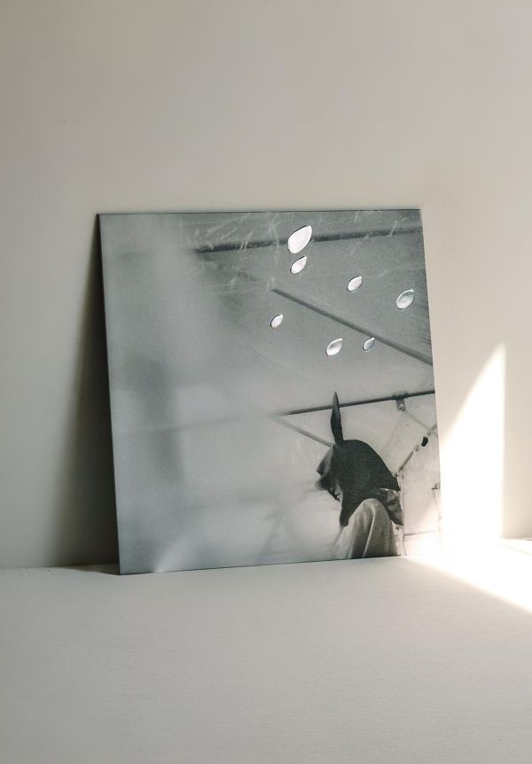 小沢健二 Kenji Ozawa - 日比谷野音の小沢健二 黑膠2LP 