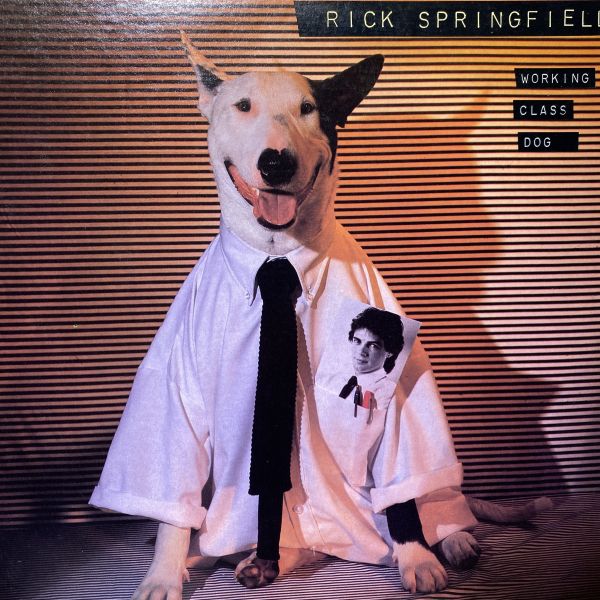 Rick Springfield – Working Class Dog 二手老膠1LP 