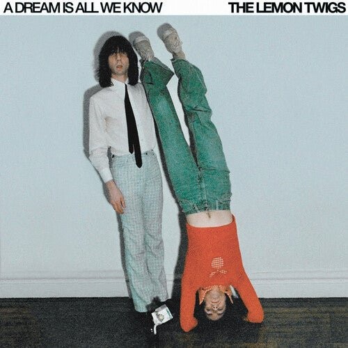 LEMON TWIGS - A DREAM IS ALL WE KNOW 黑膠1LP LEMON TWIGS A DREAM IS ALL WE KNOW LP, LEMON TWIGS A DREAM IS ALL WE KNOW album, LEMON TWIGS A DREAM IS ALL WE KNOW專輯