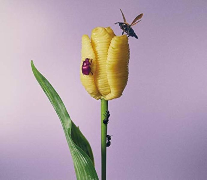 愛繆 Aimyong - おいしいパスタがあると聞いて 首版重量盤彩膠2LP 