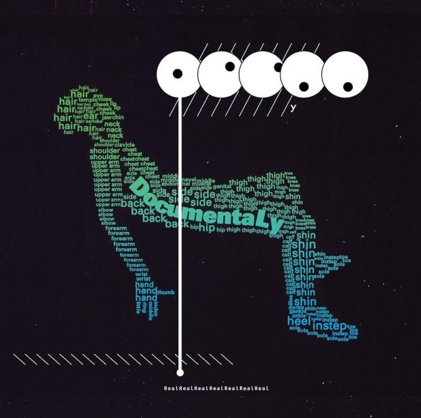 魚韻 sakanaction - DocumentaLy 完全生產限定黑膠2LP 