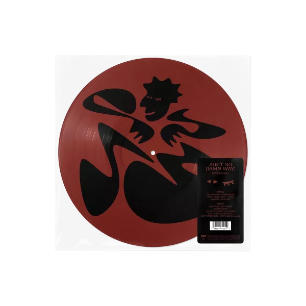 Kaytranada - AIN’T NO DAMN WAY! 圖膠1LP 