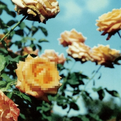 globe - relation 黑膠2LP 