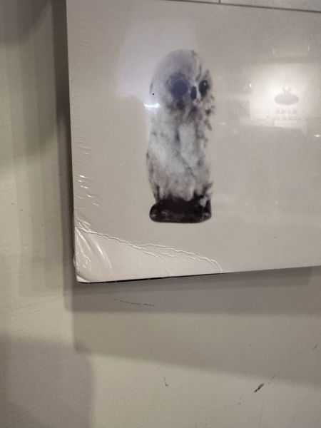 Savage Garden野人花園 - Savage Garden 同名專輯 白膠2LP 