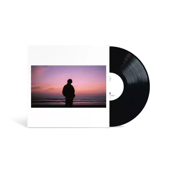 Keshi - Bandaids 黑膠1LP 