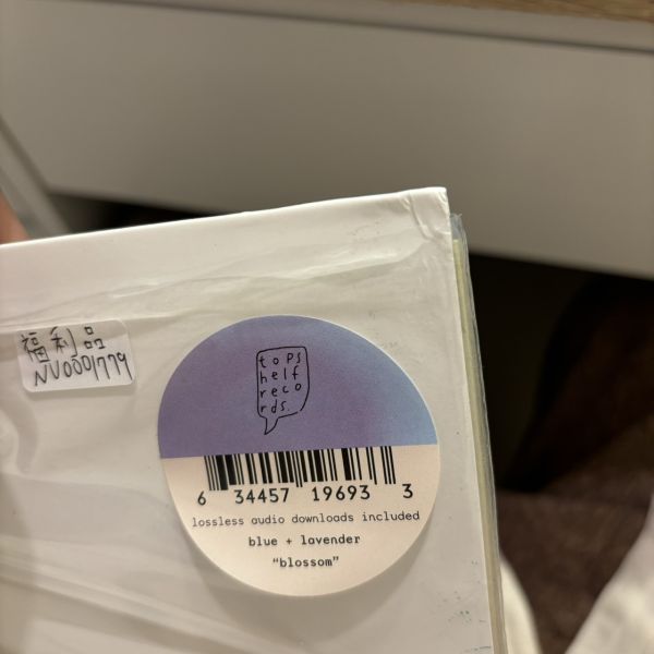 Parannoul - After The Magic 彩膠2LP Parannoul After The Magic LP, Parannoul After The Magic album, Parannoul After The Magic 專輯