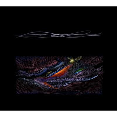 踊ってばかりの国 - moana(CD) 
