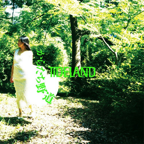 TIDELAND - からたち野道(7"黑膠1EP) 