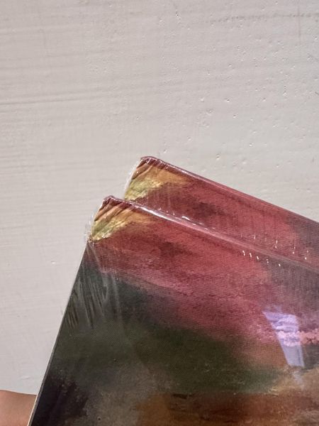 Lizzy McAlpine - Angel 綠透彩膠2LP（附海報） Lizzy McAlpine,Lizzy McAlpine 黑膠,Angel,Angel 黑膠,Lizzy McAlpine Angel
