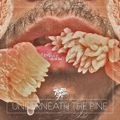 Toro y Moi - Underneath the Pine 黑膠1LP 