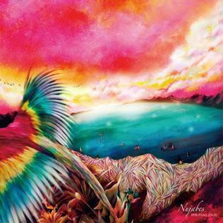 Nujabes - Spiritual State CD 