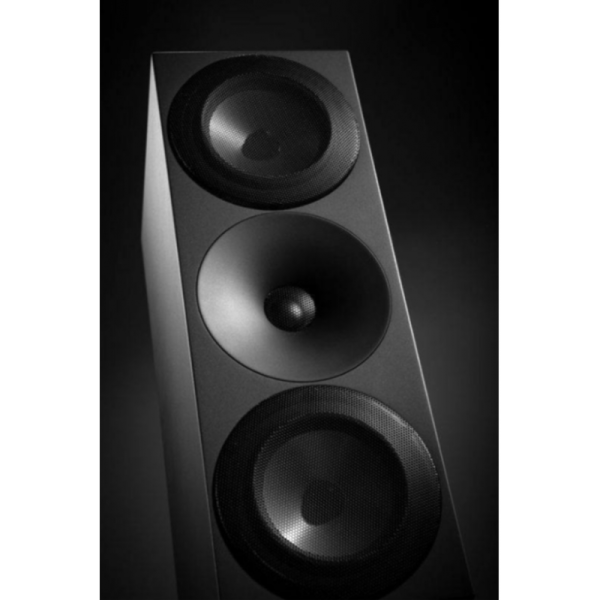 Amphion Argon5C 中置聲道喇叭｜雙5.25吋家庭劇院中央聲道 Amphion Argon5C, Amphion 中置喇叭, 中置聲道, 家庭劇院喇叭, 中央聲道, 芬蘭喇叭, Argon5C, HiFi 喇叭, 劇院音響, 發燒音響