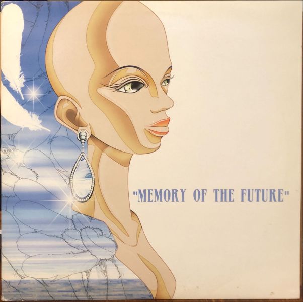DJ Nozawa - Memory Of The Future  二手老膠1LP 