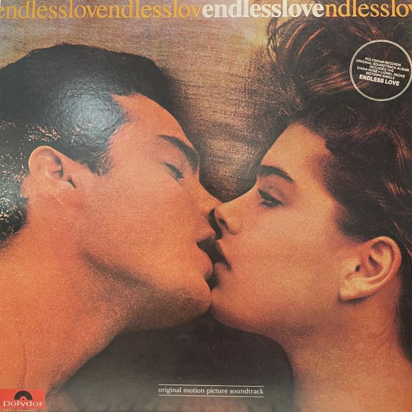 Various - Endless Love｜二手老膠 1LP 