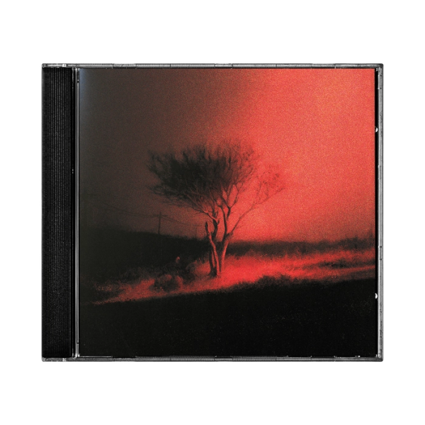 Joji - Piss in the Wind CD 