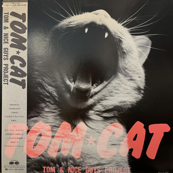 Tom Cat - Tom Cat: Tom & Nice Guys Project｜二手老膠1LP 