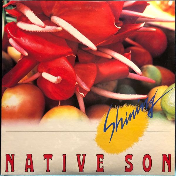Native Son - Shining 二手老膠1LP 