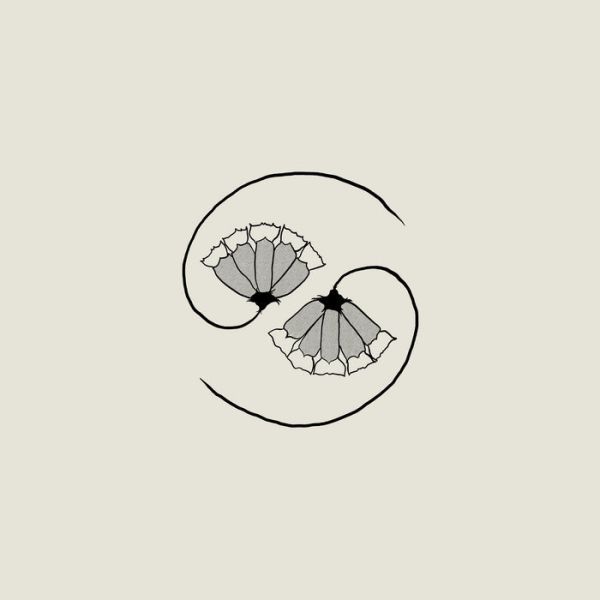 Godspeed You! Black Emperor - G_d's Pee AT STATE'S END! 重量盤黑膠1LP + 10吋LP 