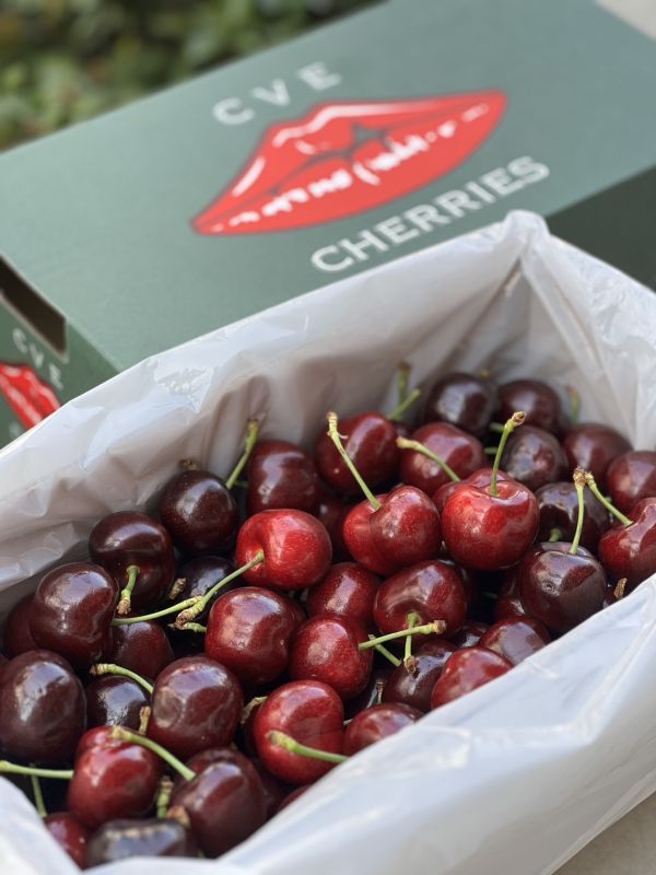 【櫻桃屆LV】紐西蘭空運大嘴巴櫻桃 