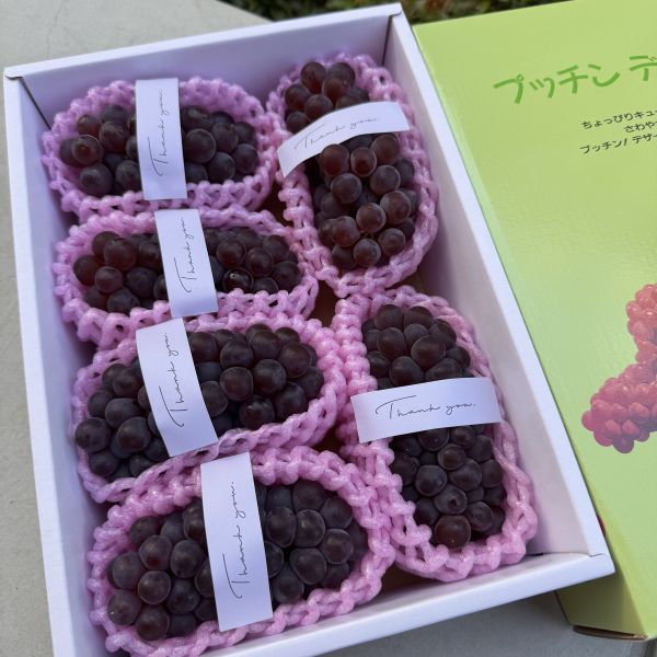 日本山梨珍珠葡萄禮盒 