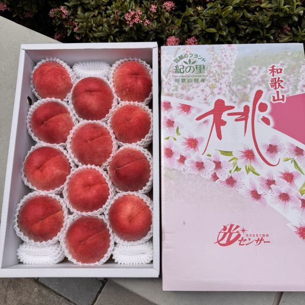 日本和歌山室外水蜜桃 和歌山,水蜜桃,日本水蜜桃,室外桃,日川白鳳,白鳳,白鳳水蜜桃,進口水果,日本水果