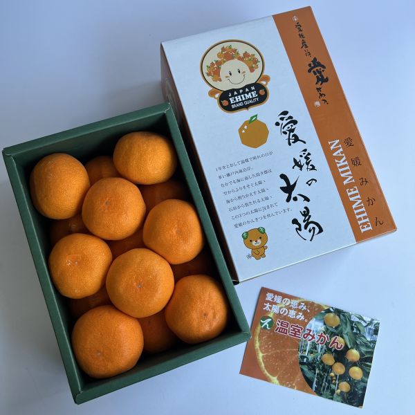 愛媛小太陽蜜柑禮盒 