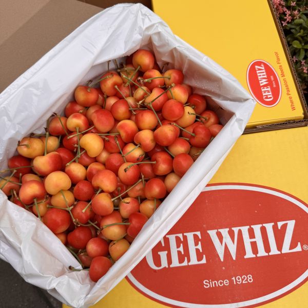GeeWhiz手採白櫻桃 