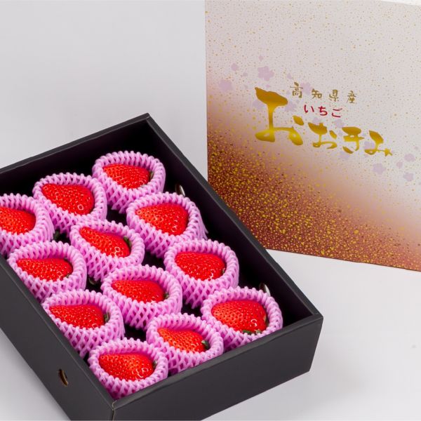 【精緻高雅】高知大妃美草莓禮盒 