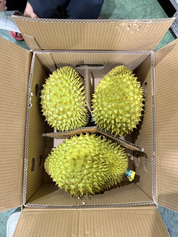 越南漁牌干堯榴槤 