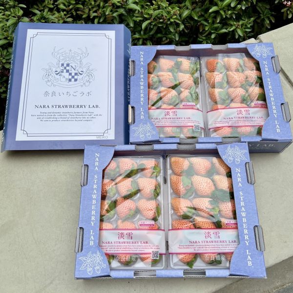 【夢幻品種】奈良淡雪草莓 