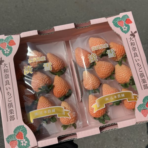 【夢幻品種】奈良淡雪草莓 