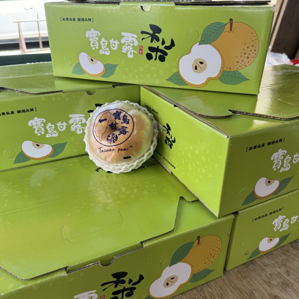 【清脆好吃】台灣寶島甘露梨 