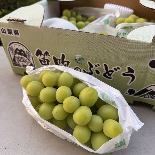 【荔枝香氣】山梨麝香葡萄 麝香葡萄,日本葡萄,山梨葡萄,晴王葡萄