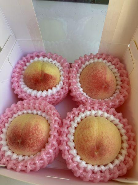壽康桃野餐盒 