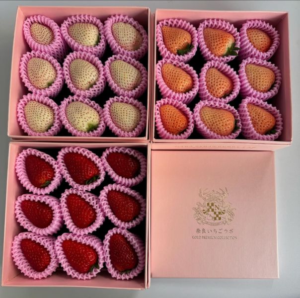 【頂級規格】奈良天皇三色草莓禮盒 